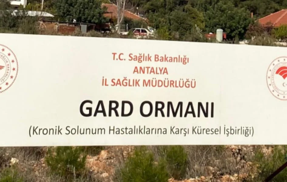 Astım ve KOAH Hastaları İçin Şifa Kaynağı: Gard Ormanı'nın Kalbinde Tatil